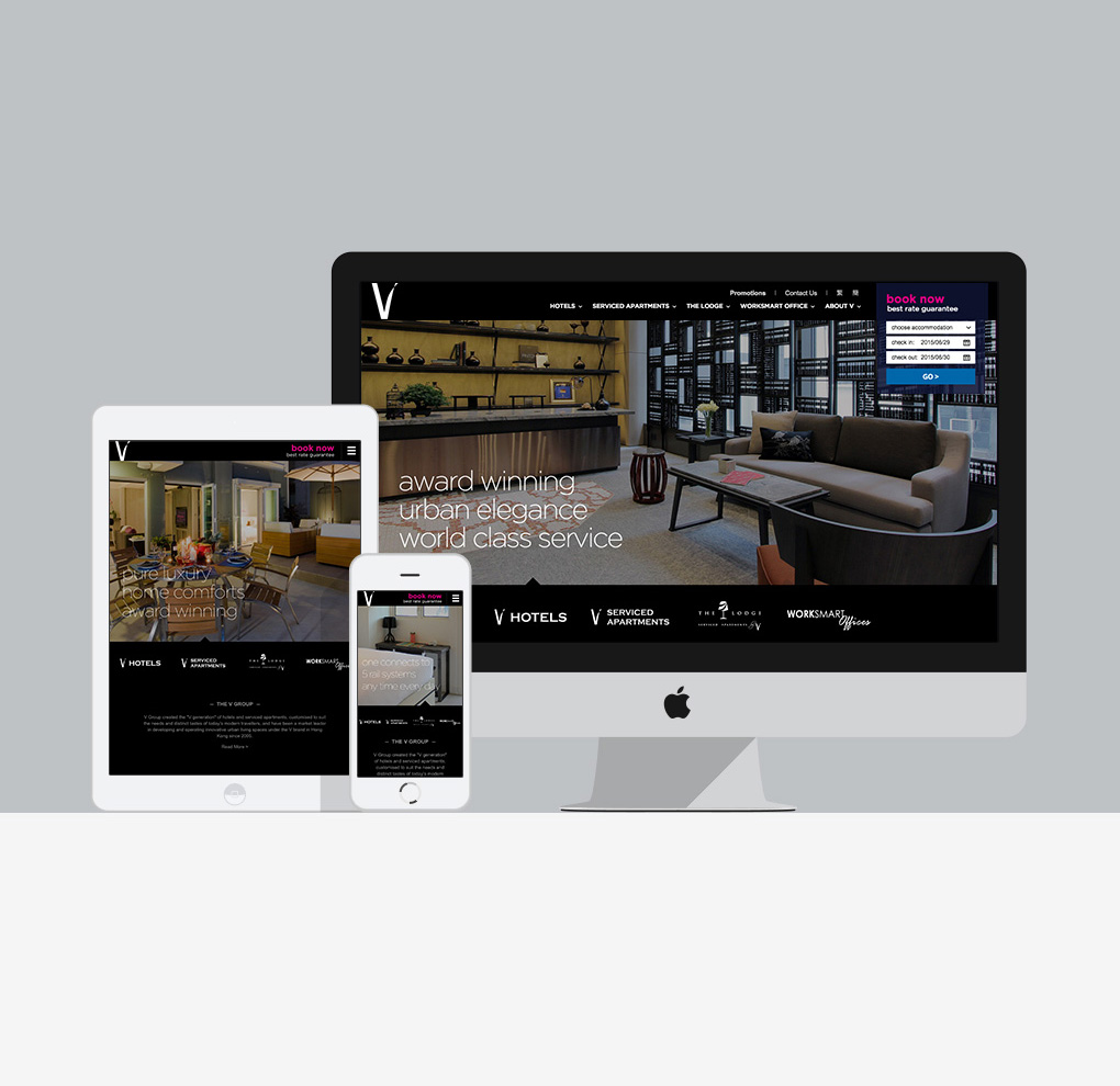 The V Group Website image